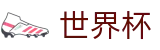 2026世界杯买球-洞悉绿茵风云
